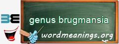 WordMeaning blackboard for genus brugmansia